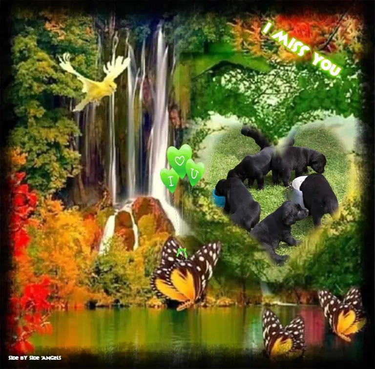 Condolence image of ❤️❤️❤️