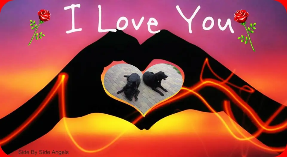 Condolence image of ❤️❤️❤️