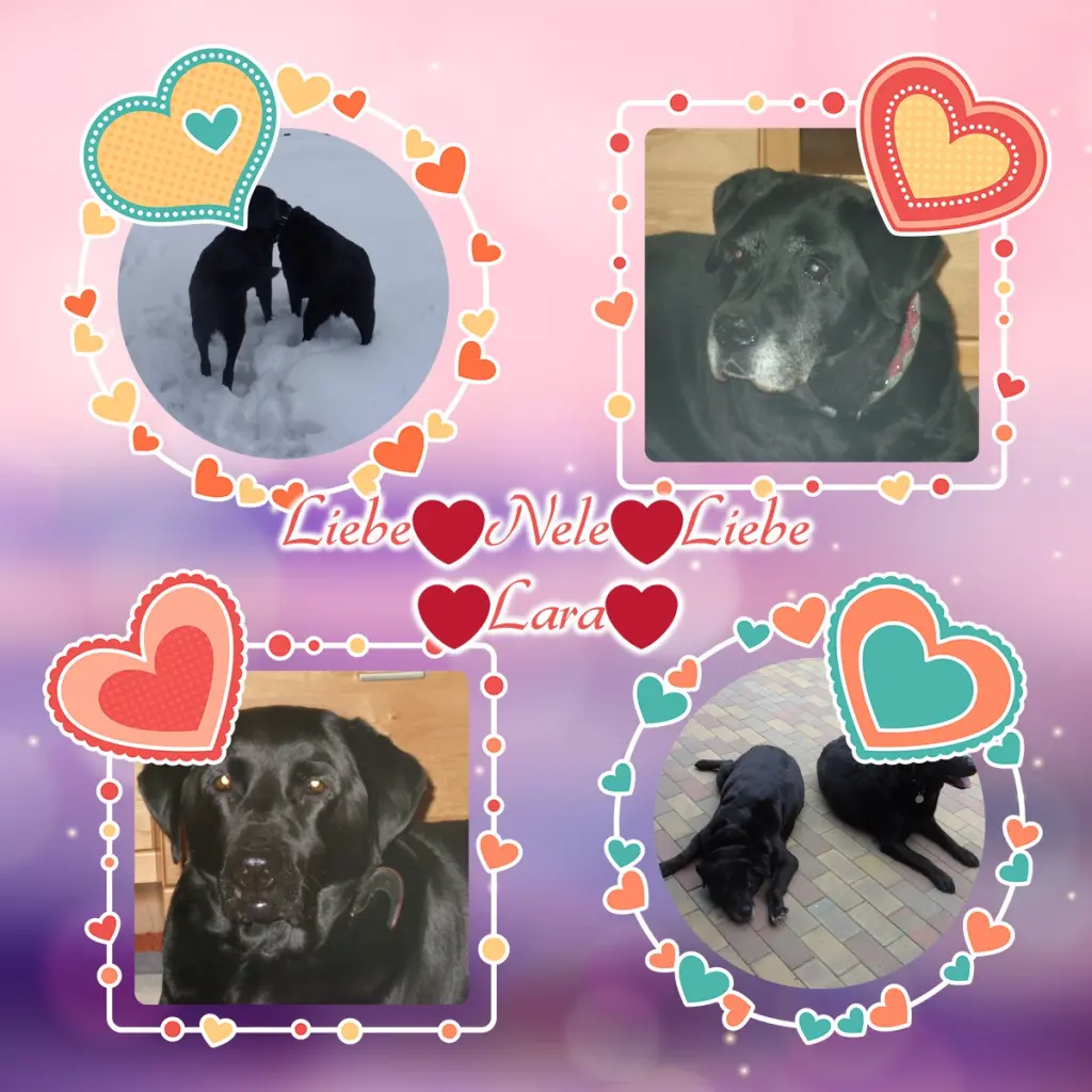 Condolence image of Guten Morgen❤️