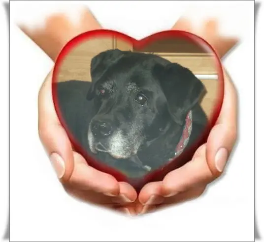 Condolence image of ❤️❤️❤️