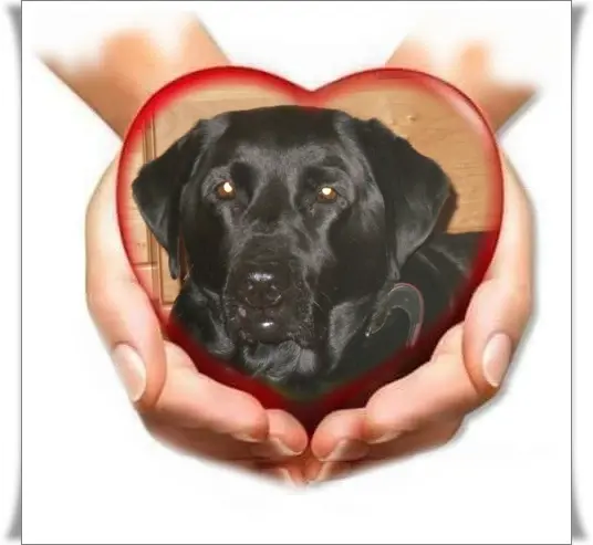 Condolence image of ❤️❤️❤️