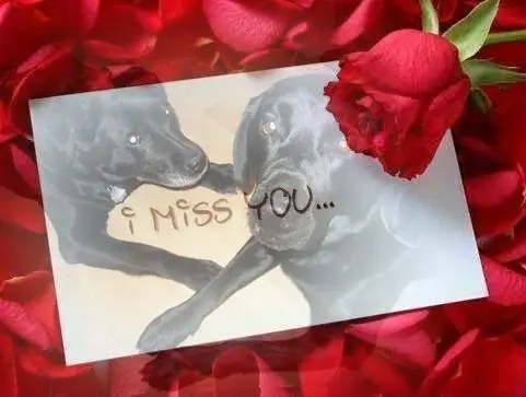 Condolence image of ❤️❤️❤️