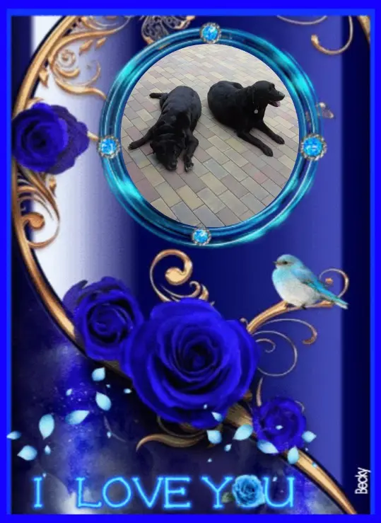 Condolence image of Dobrej Nocki❤️❤️❤️