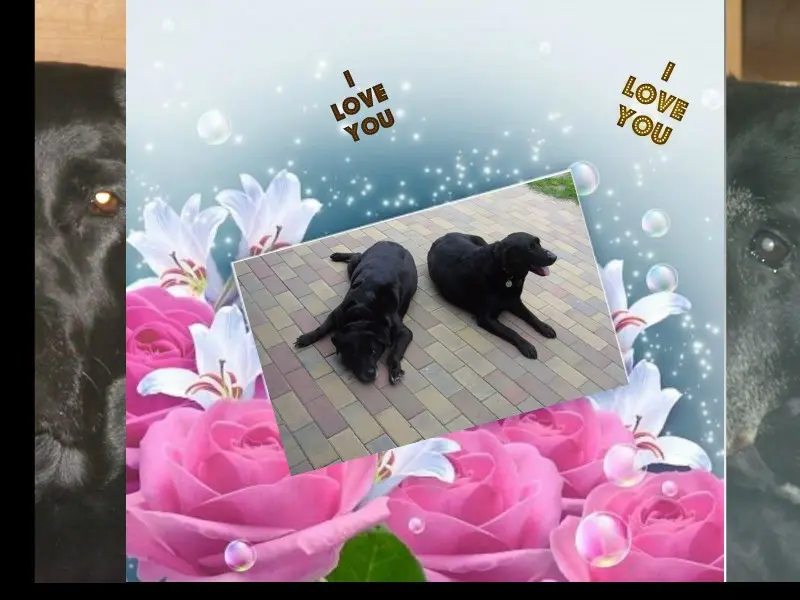 Condolence image of ❤️❤️❤️