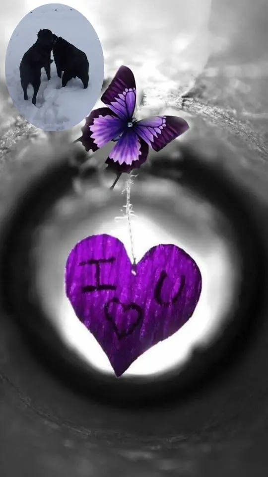 Condolence image of ❤️❤️❤️