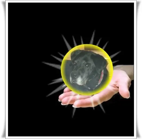 Condolence image of ❤️❤️❤️