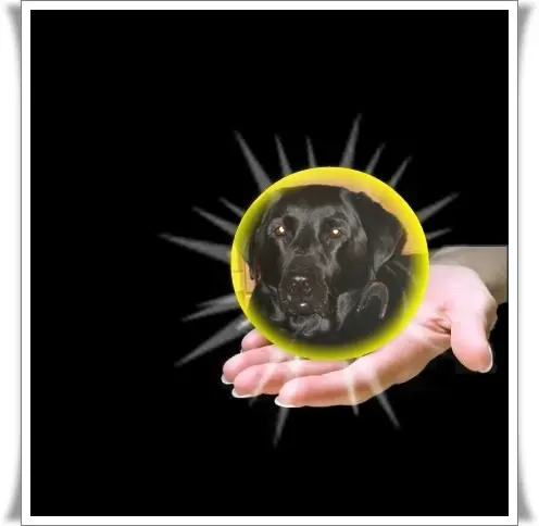 Condolence image of ❤️❤️❤️