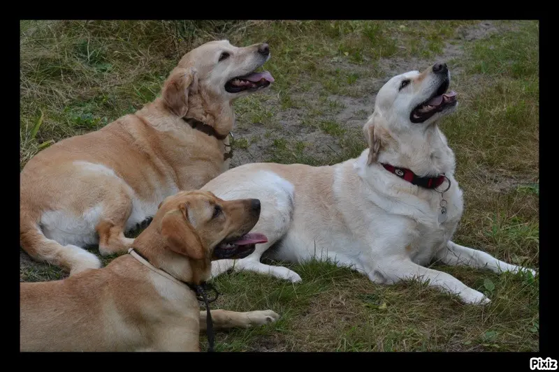 Condolence image of Brigitta