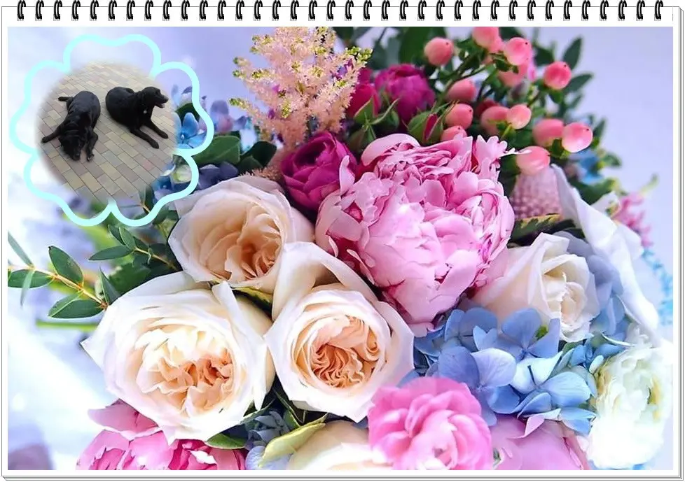 Condolence image of ❤️❤️❤️