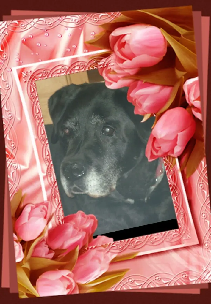 Condolence image of ❤️❤️❤️