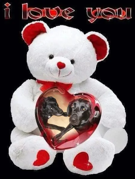 Condolence image of ❤️❤️❤️