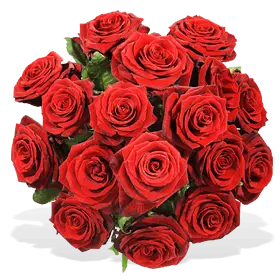 Condolence image of ❤️❤️❤️