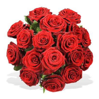 Condolence image of ❤️❤️❤️