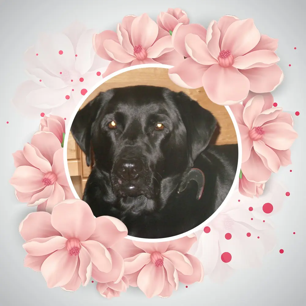 Condolence image of ❤️❤️❤️