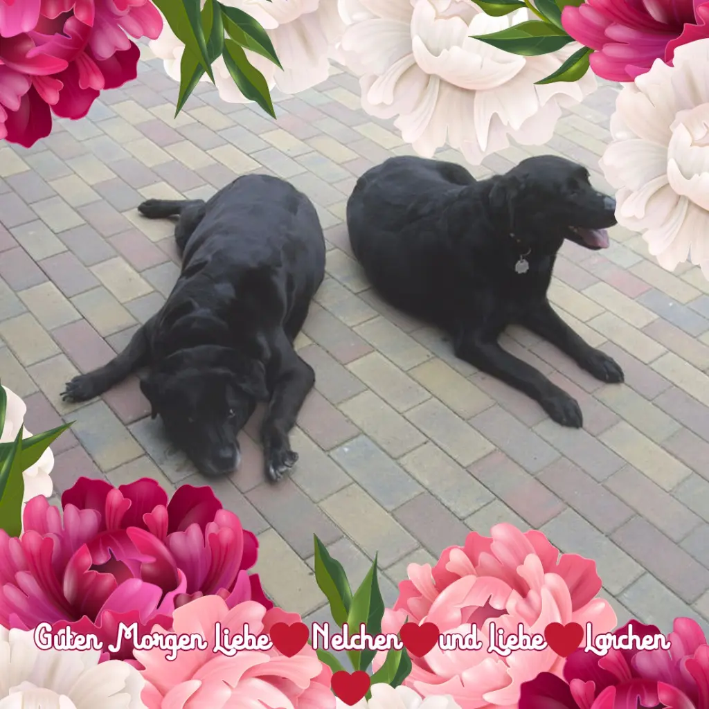 Condolence image of ❤️❤️❤️