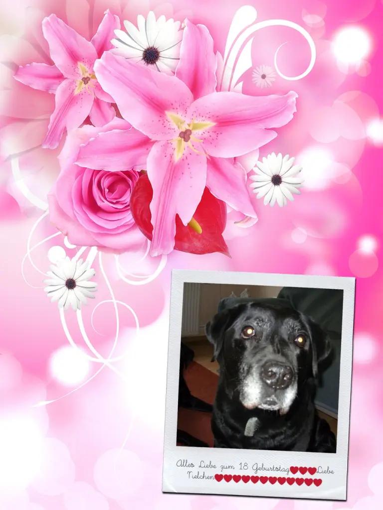 Condolence image of Fur Geburtstag Kind❤️Nele❤️