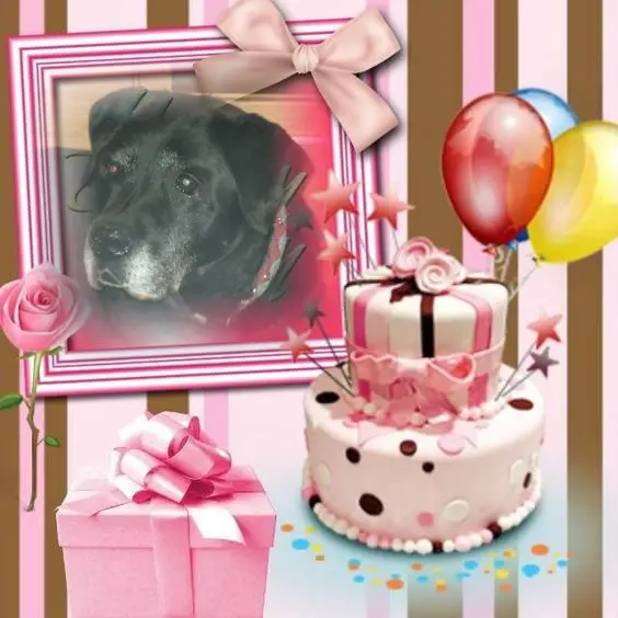 Condolence image of ❤️❤️❤️