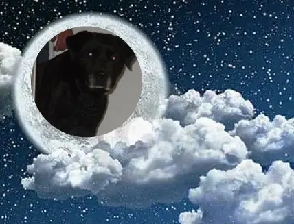 Condolence image of ❤️❤️❤️