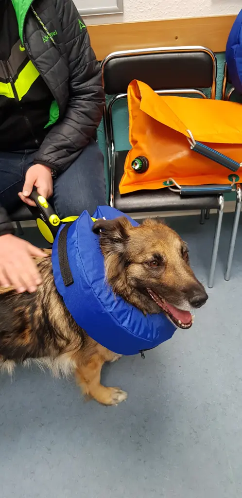 Condolence image of ❤️❤️❤️