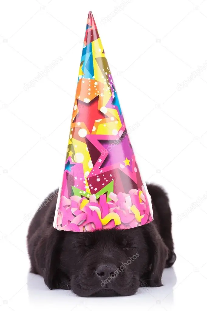 Condolence image of Kathrin mit Susi im Herzen