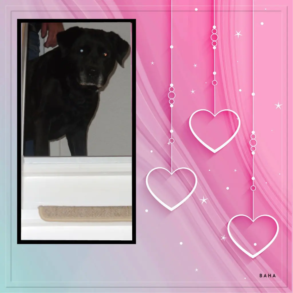 Condolence image of ❤️❤️❤️