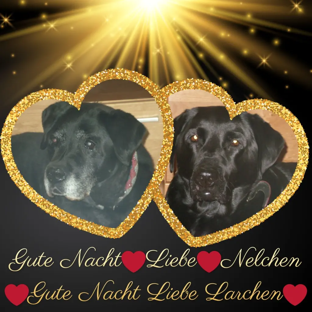 Condolence image of ❤️❤️❤️