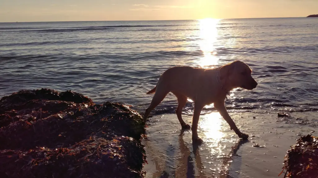 Condolence image of Brigitta