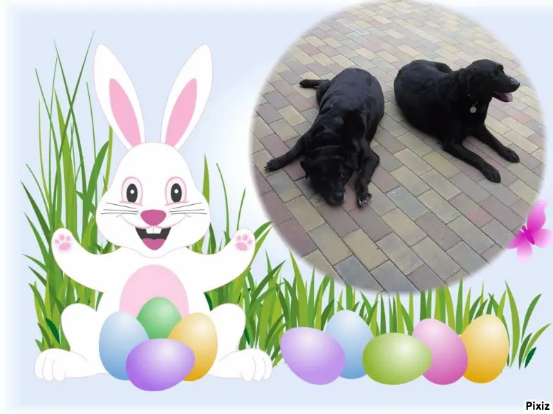 Condolence image of ❤️❤️❤️