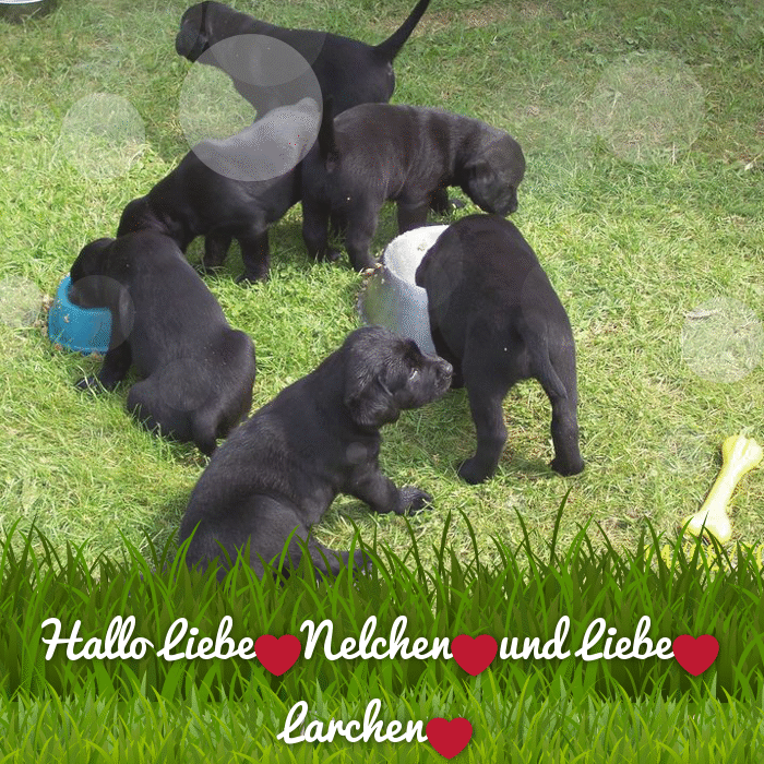 Condolence image of ❤️❤️❤️