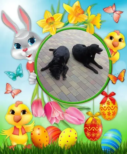 Condolence image of ❤️❤️❤️