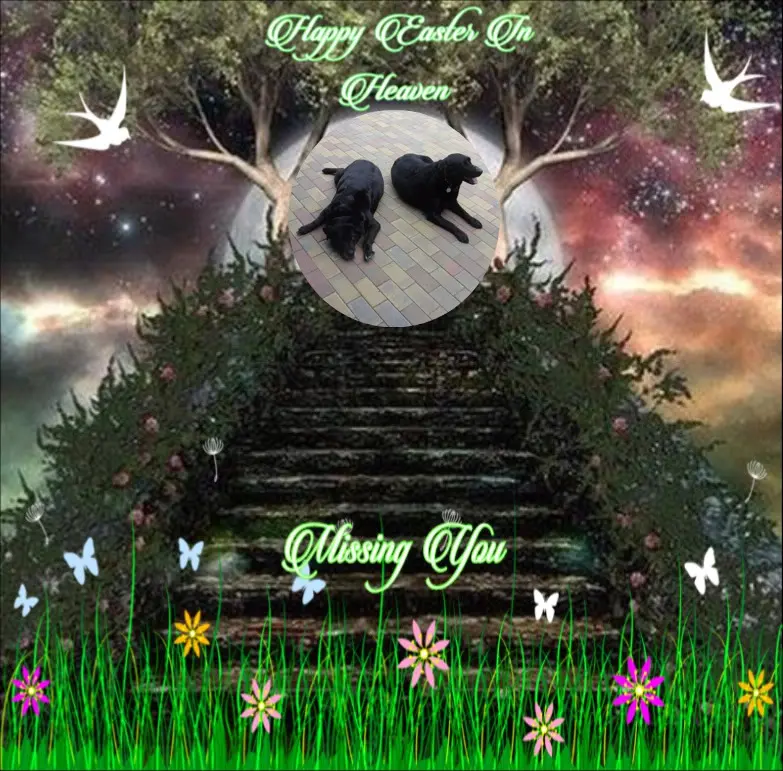 Condolence image of ❤️❤️❤️