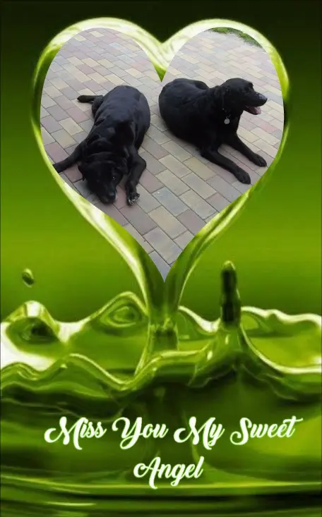 Condolence image of ❤️❤️❤️