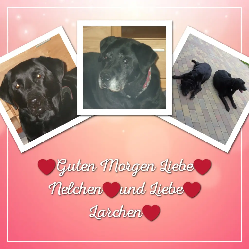 Condolence image of ❤️❤️❤️