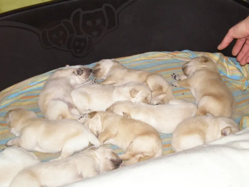 Condolence image of Brigitta