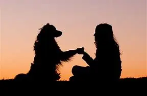 Condolence image of Kathrin mit Susi im Herzen