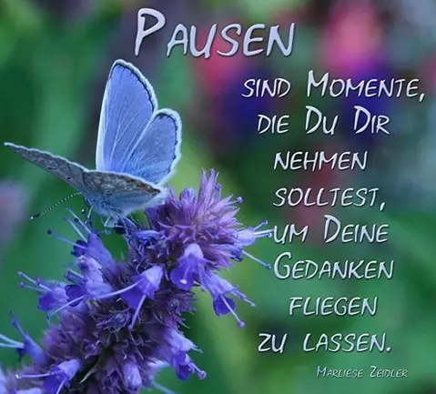 Condolence image of Unbekannt