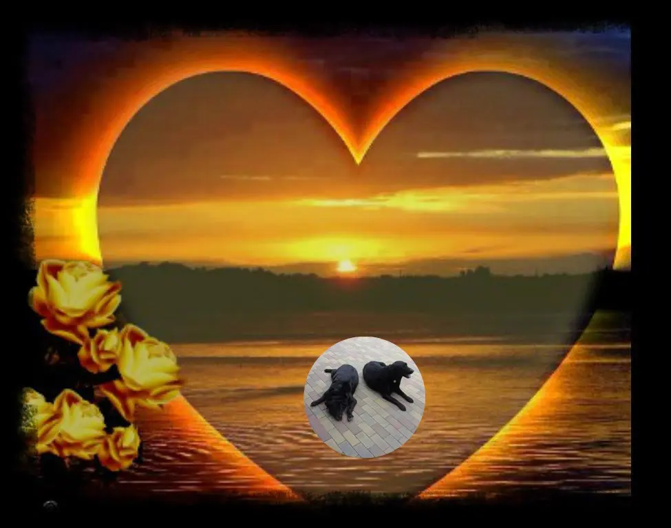 Condolence image of ❤️❤️❤️