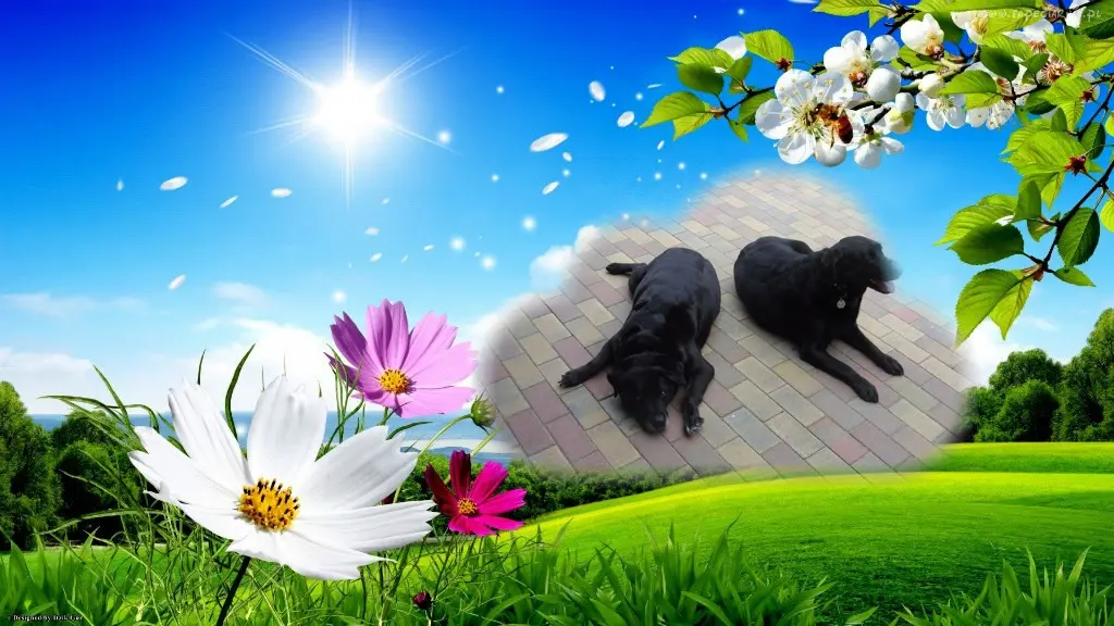 Condolence image of ❤️❤️❤️