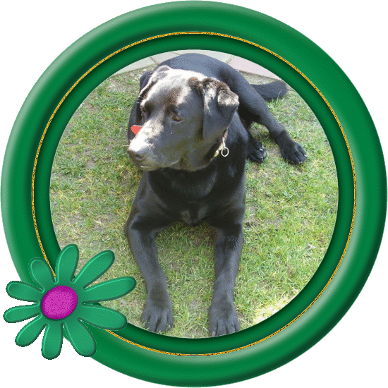 Condolence image of ❤️❤️❤️