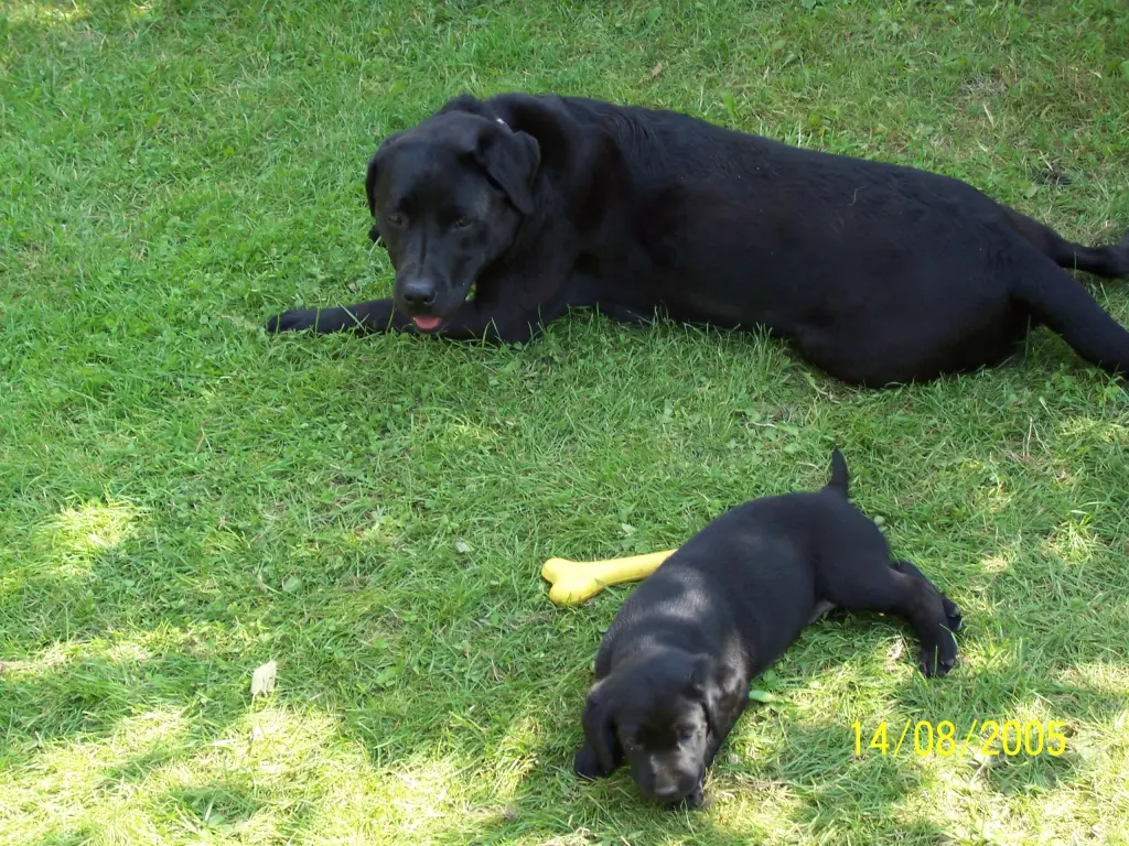 Condolence image of Unbekannt