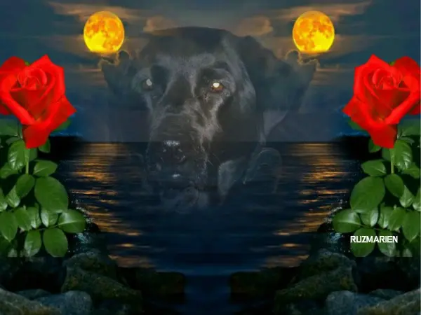 Condolence image of ❤️❤️❤️