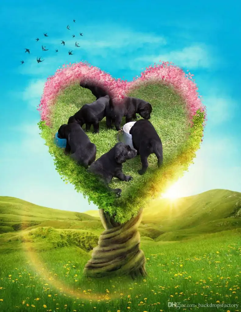 Condolence image of ❤️❤️❤️