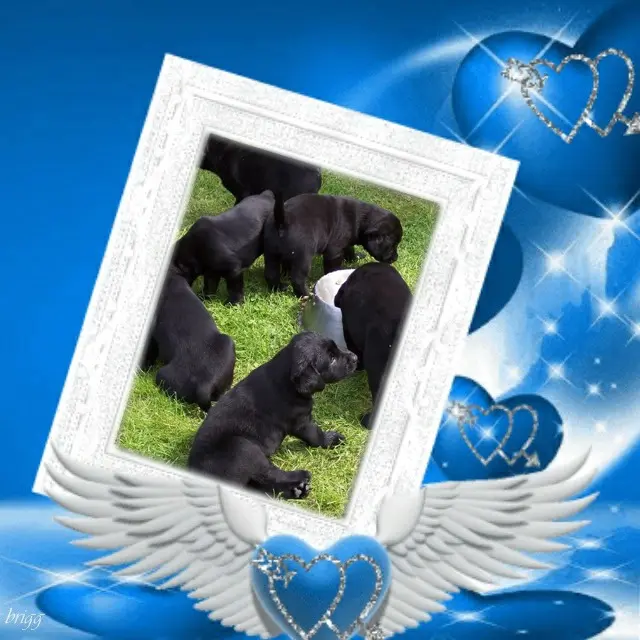 Condolence image of ❤️❤️❤️