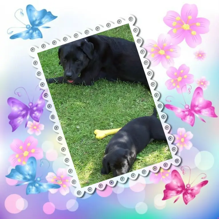 Condolence image of ❤️❤️❤️