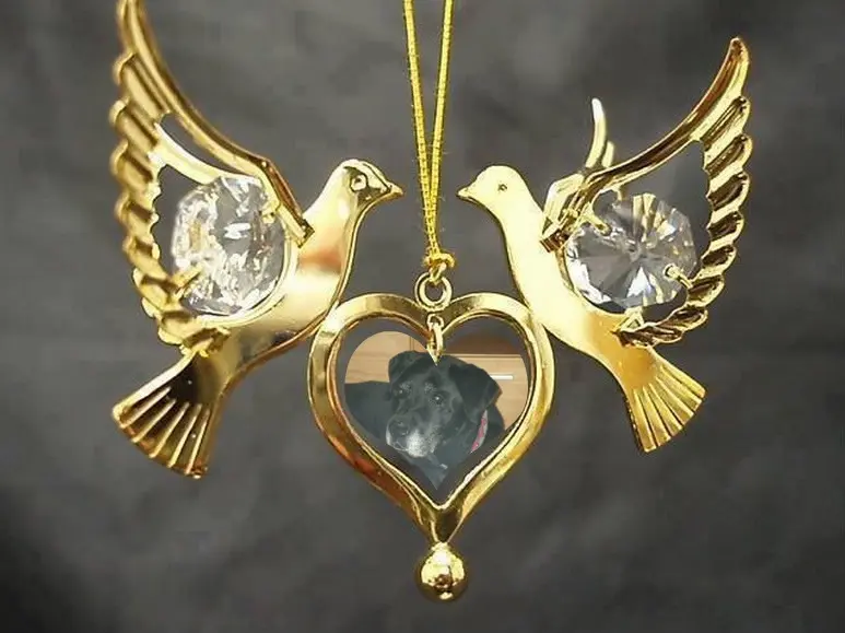 Condolence image of ❤️❤️❤️