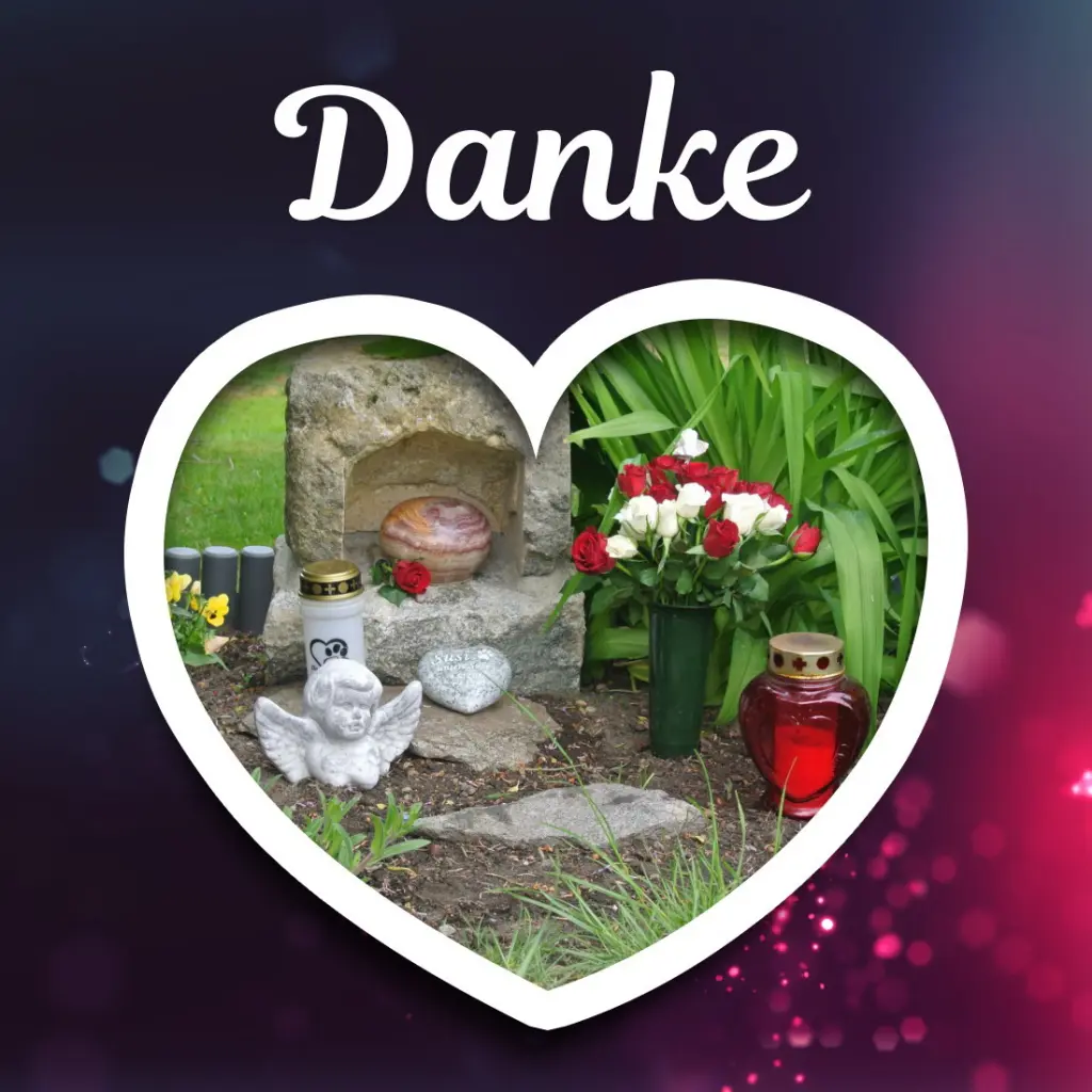 Condolence image of Kathrin mit Susi im Herzen