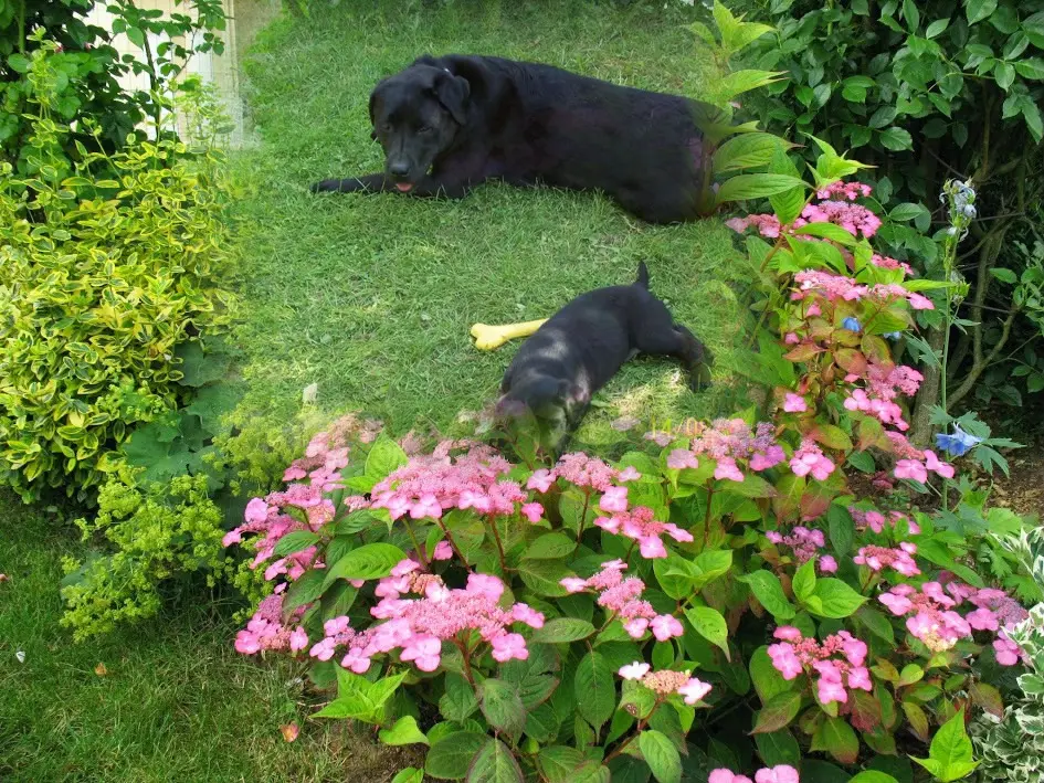 Condolence image of ❤️❤️❤️