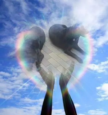 Condolence image of ❤️❤️❤️