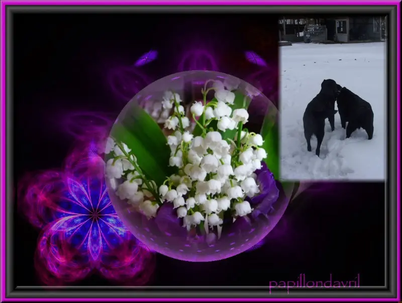 Condolence image of ❤️❤️❤️