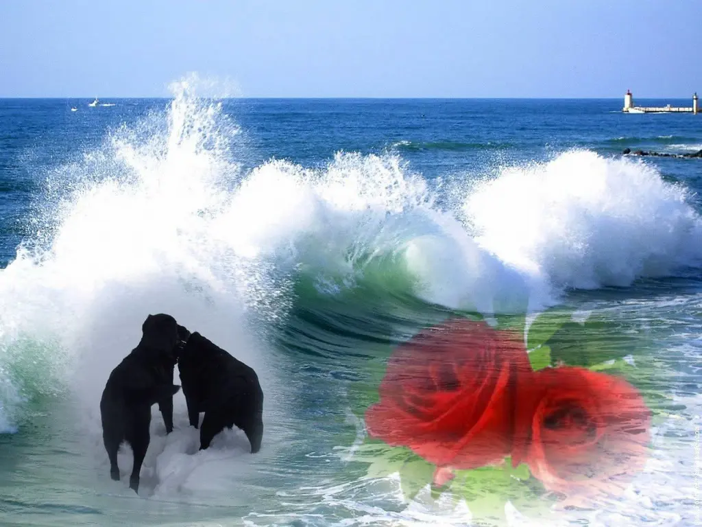 Condolence image of ❤️❤️❤️